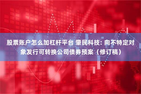 股票账户怎么加杠杆平台 肇民科技: 向不特定对象发行可转换公司债券预案（修订稿）