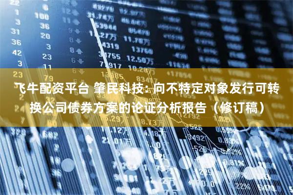 飞牛配资平台 肇民科技: 向不特定对象发行可转换公司债券方案的论证分析报告（修订稿）