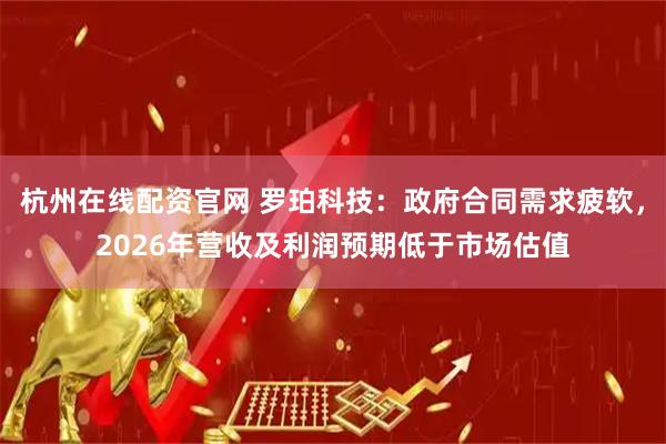 杭州在线配资官网 罗珀科技：政府合同需求疲软，2026年营收及利润预期低于市场估值